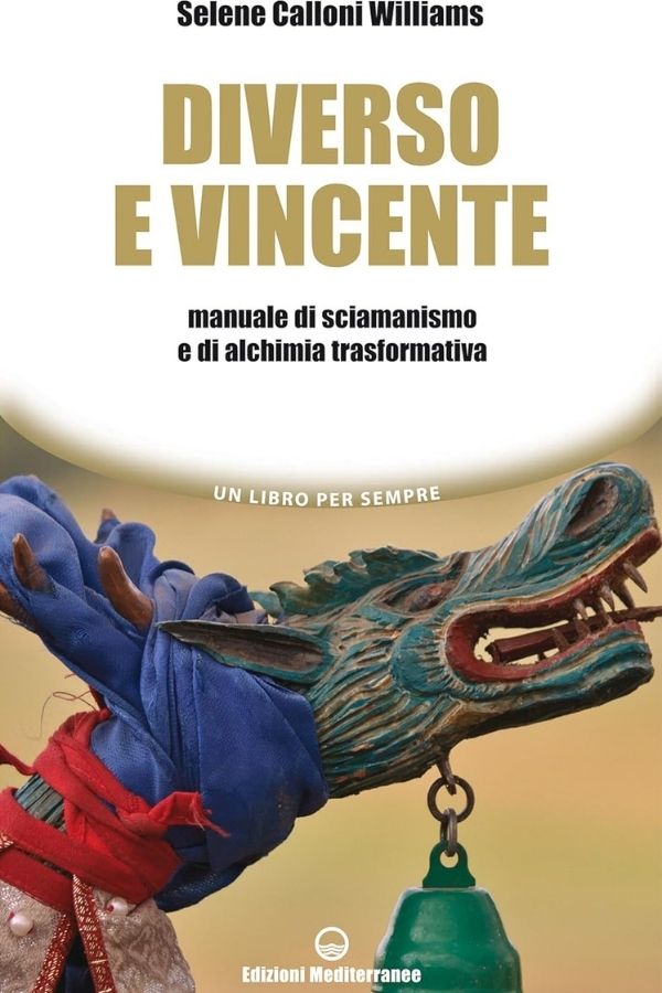 Copertina Diverso e Vincente