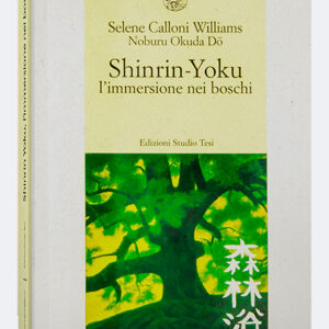 Shinrin Yoku, l'immersione nei boschi