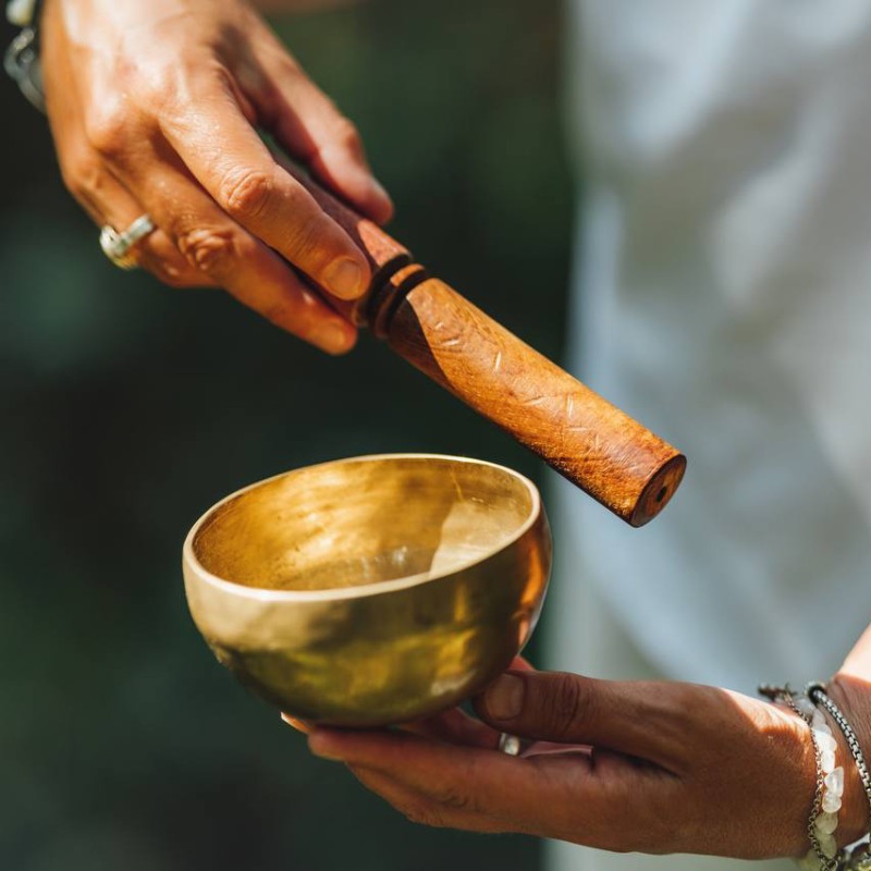 The Forest Therapy Guide school in English 2026